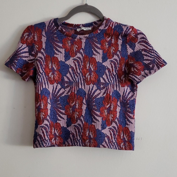 Zara Tops - Zara Knit Crop Top